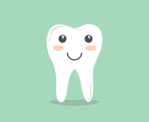 Teeth